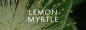 Preview: LaNature Bodylotion Lemon-Myrtle 50 ml