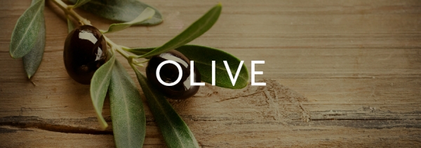 LaNature Shower Gel Olive 200 ml